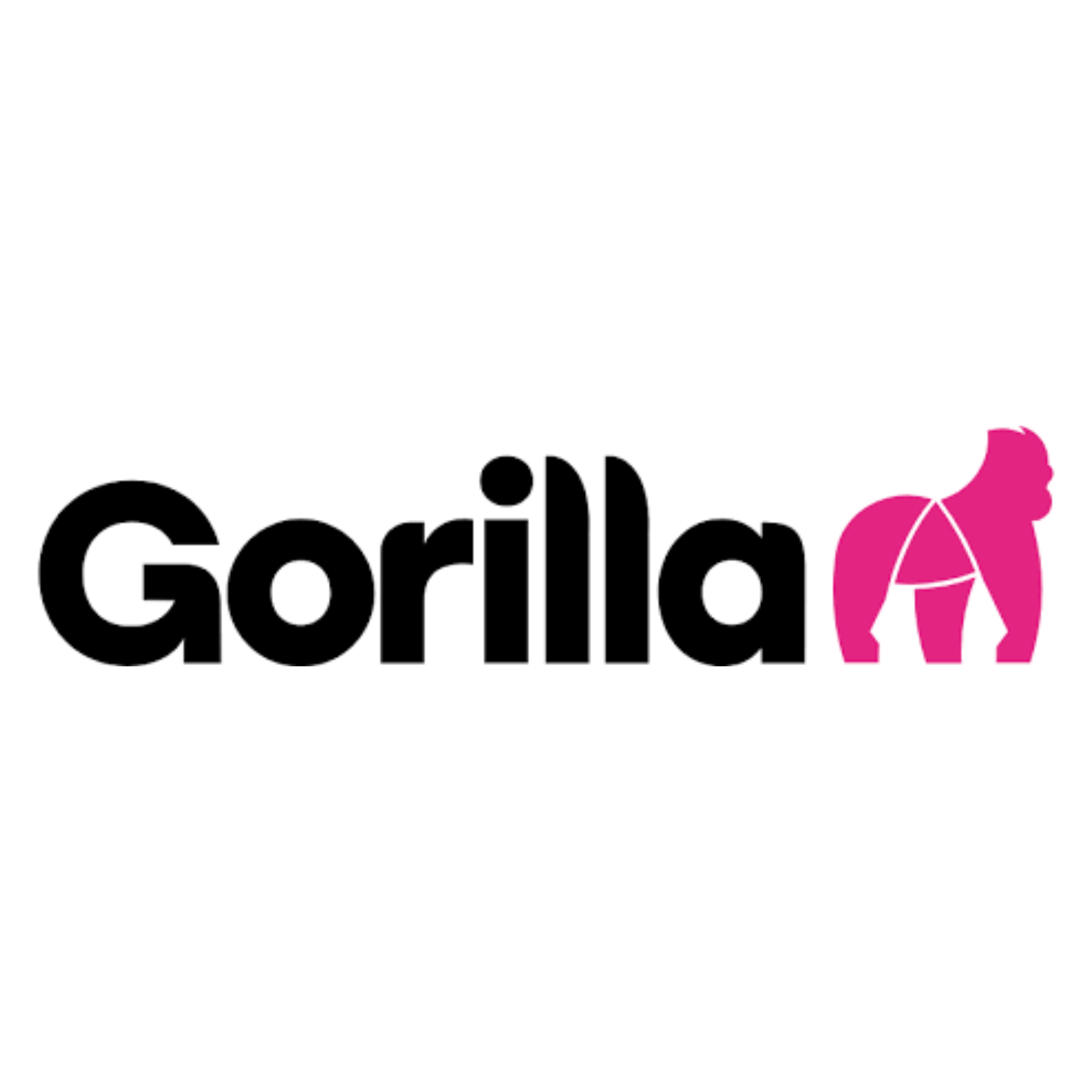 Gorilla Accounting